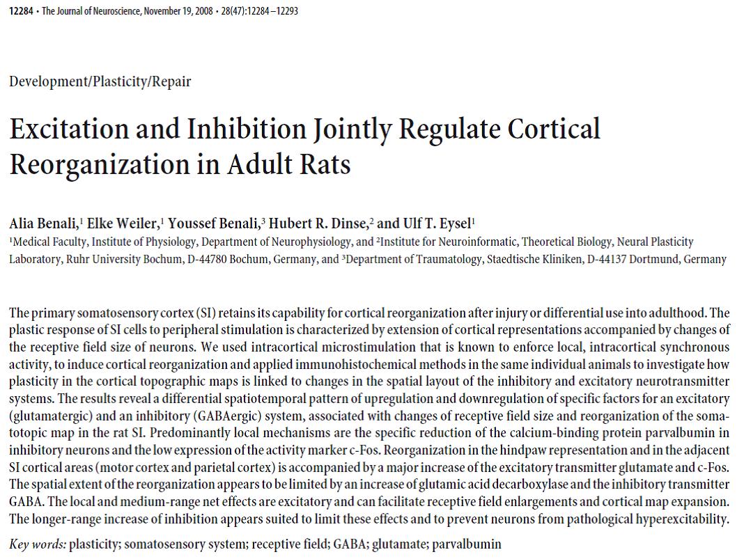 Experimentelle Neurophysiologie Ruhr Universitat Bochum